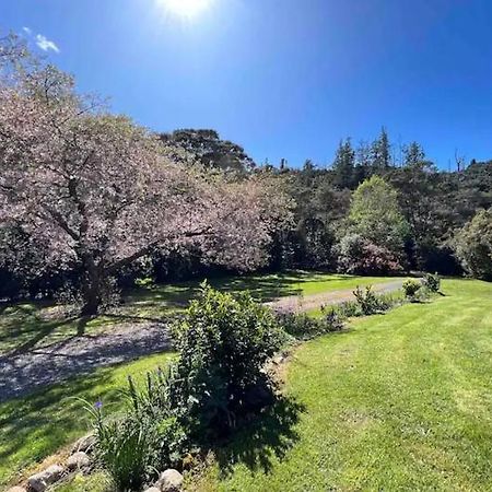 Coromandel Secluded Log Cabin Retreat Hikuai 外观 照片