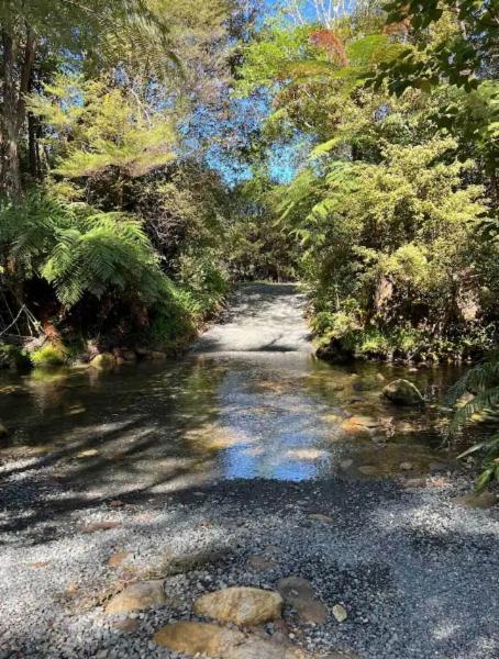 Coromandel Secluded Log Cabin Retreat Hikuai 外观 照片