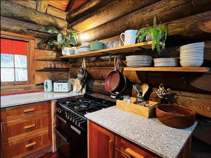 Coromandel Secluded Log Cabin Retreat Hikuai 外观 照片