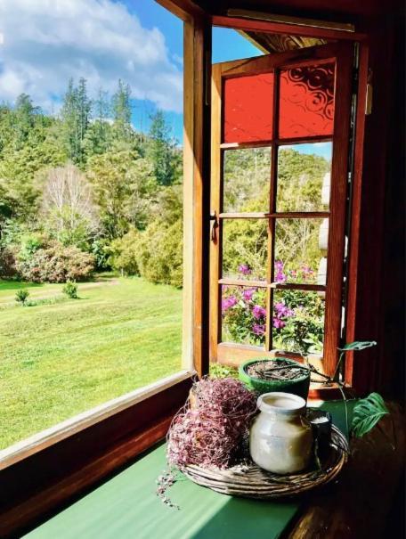 Coromandel Secluded Log Cabin Retreat Hikuai 外观 照片